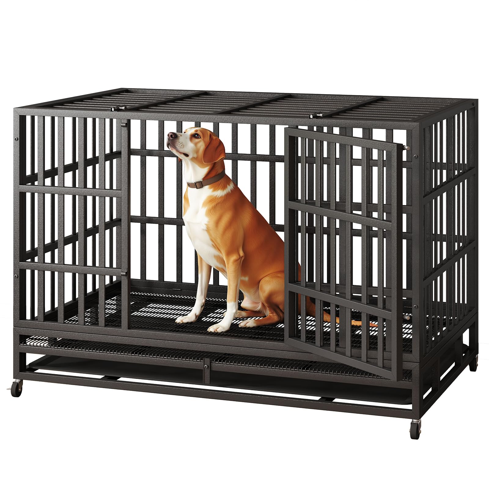 German Shepherd Dog Essentials cover photo collage