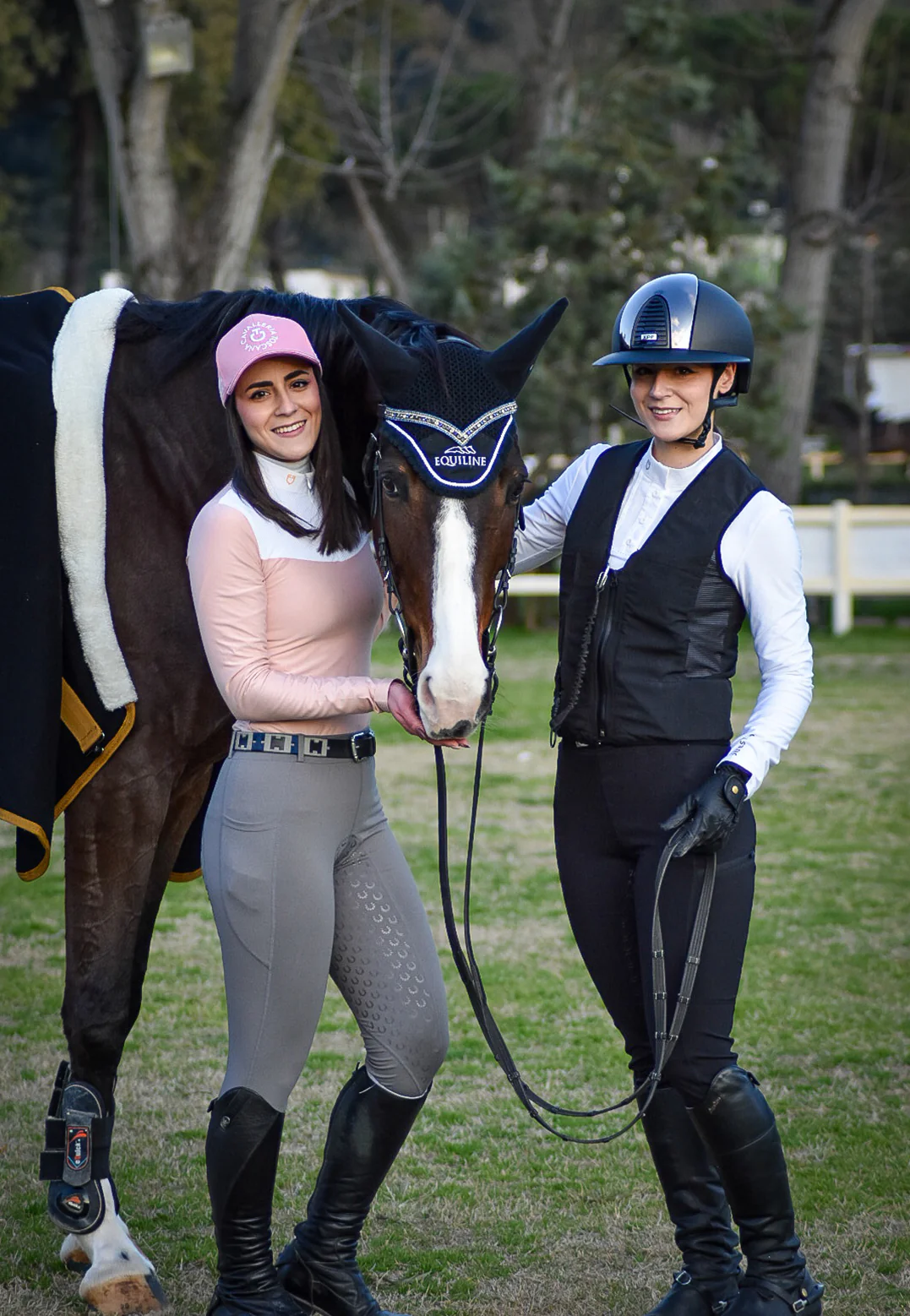 Equestrian favorites cover photo collage