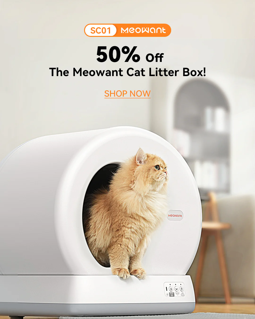 Things as I pet parent I use religiously cover photo collage