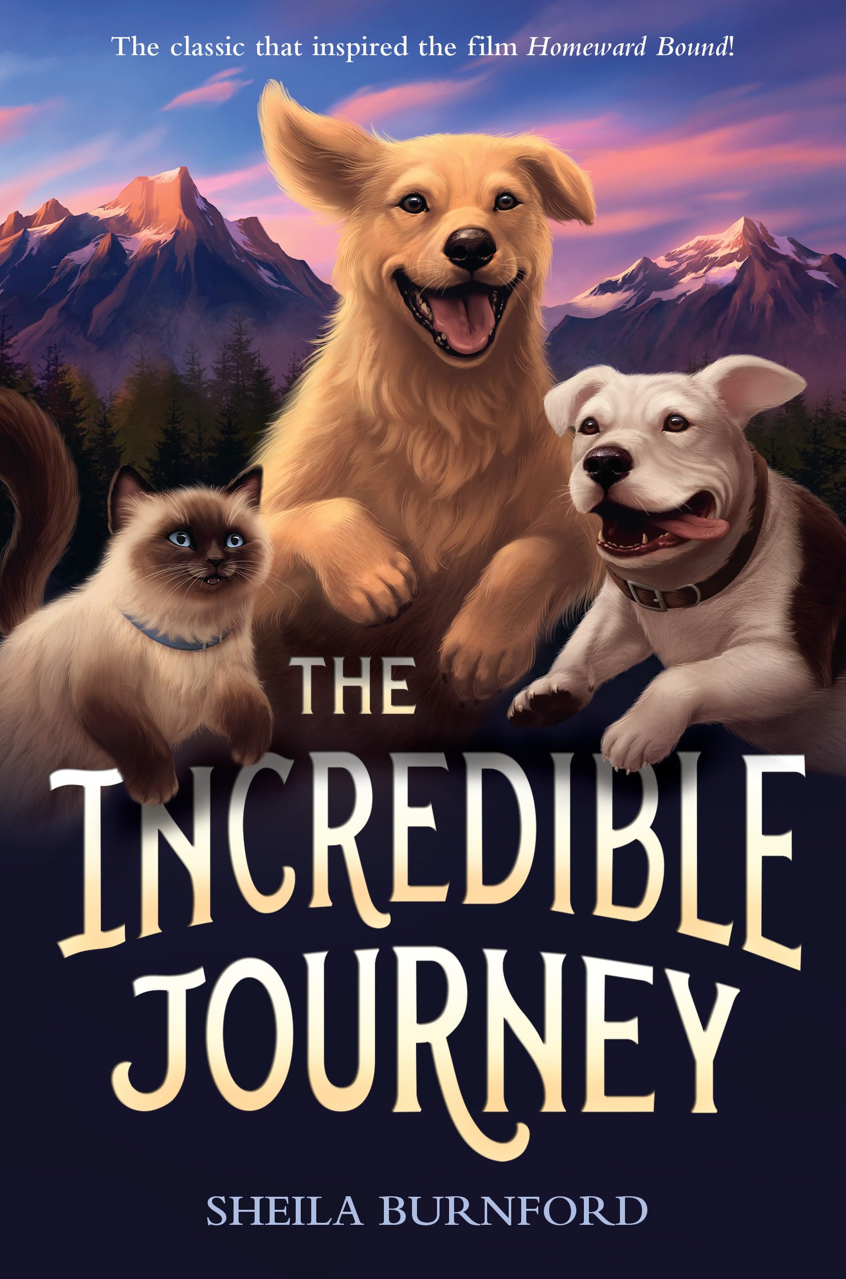 Enter an Animal's World cover photo collage