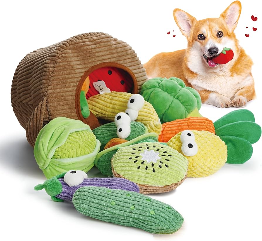 Chihuahua Essentials cover photo collage