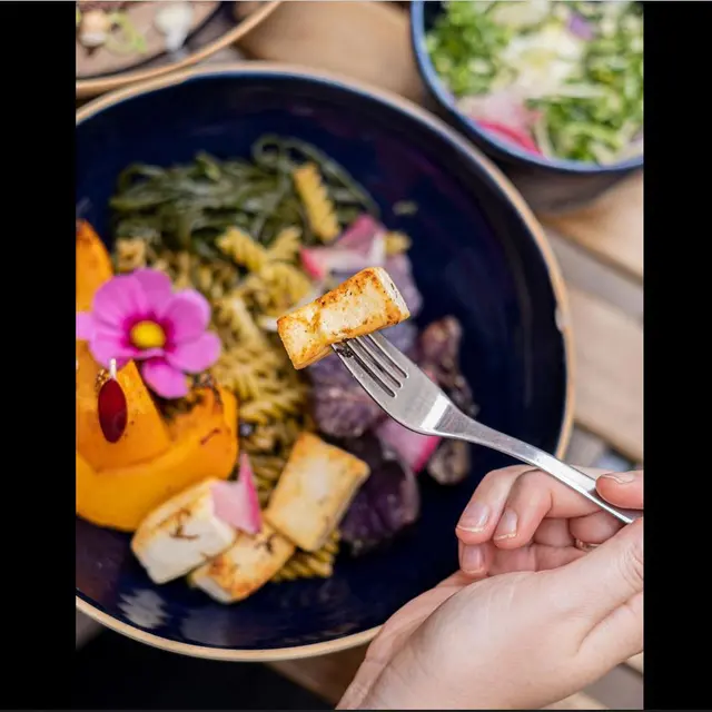 Top 15 vegan-friendly spots in Marseille from a local cover photo collage