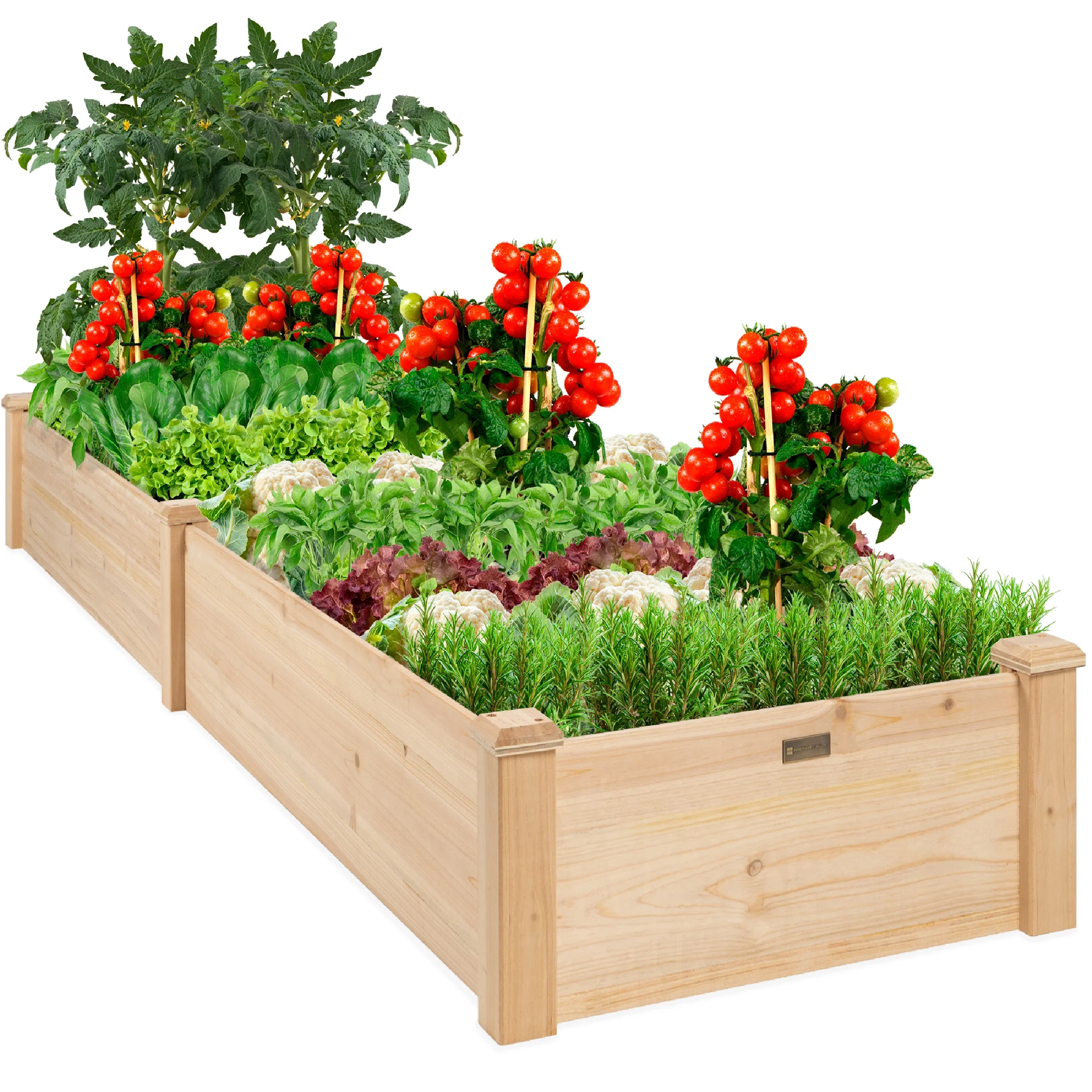 Top Gardening Essentials: Must-have products for every green thumb cover photo collage