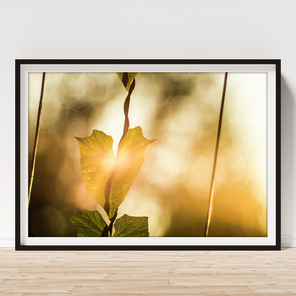 Nature love cover photo collage