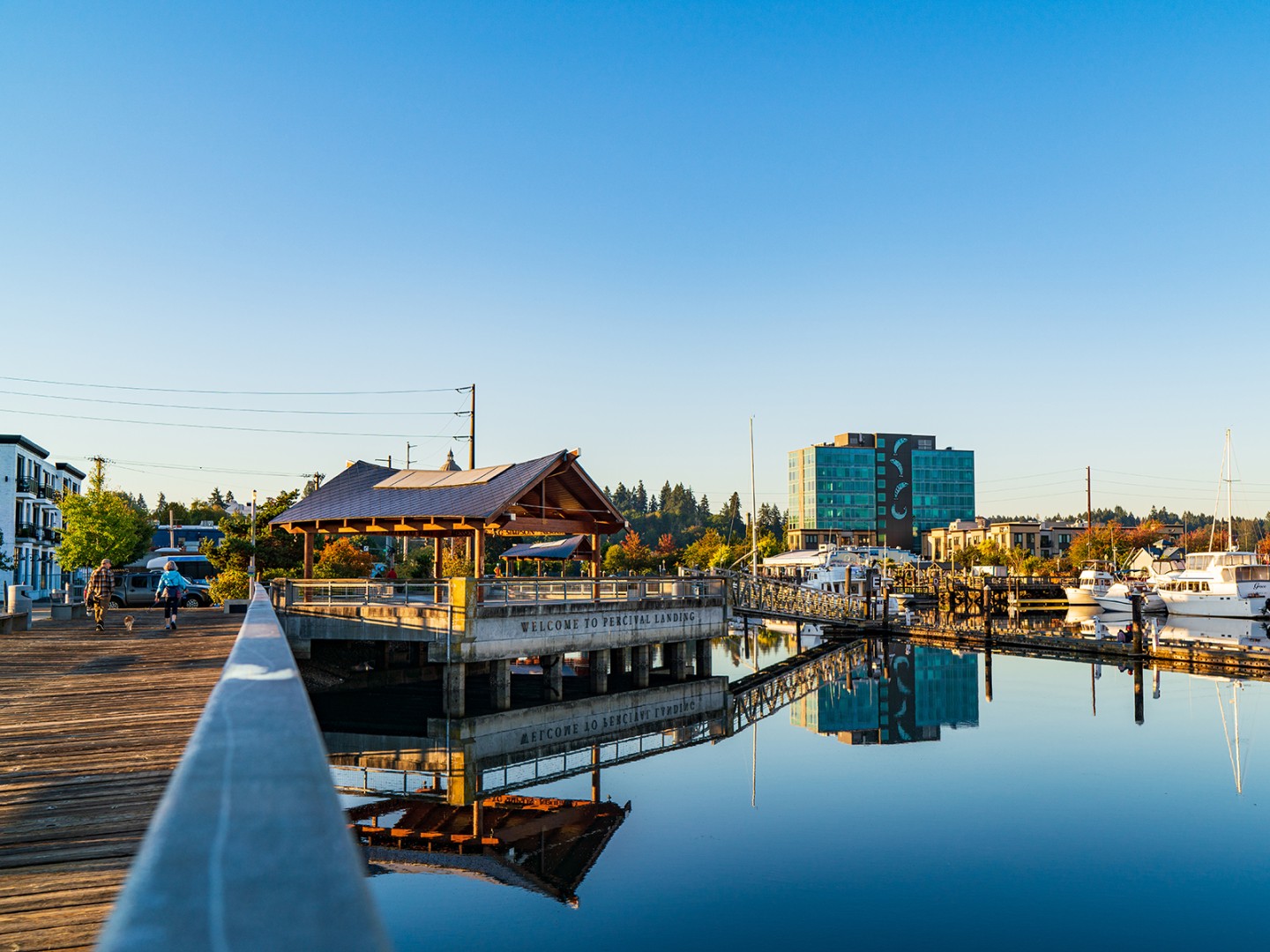Things To Do When Visiting Olympia WA cover photo collage