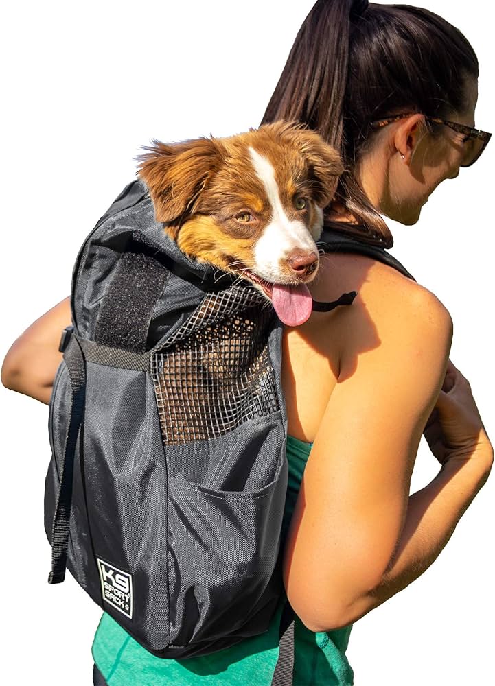 Must-Have Dog Products Every Pet Owner Needs cover photo collage