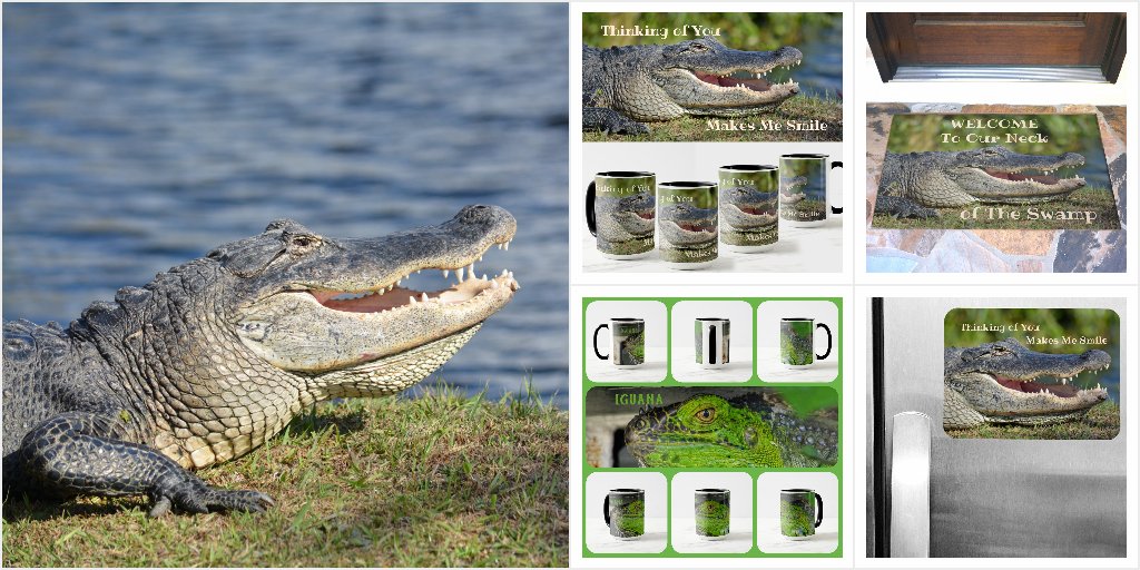 Alligators, Lizards, Reptiles & Modern Day Dragons cover photo collage