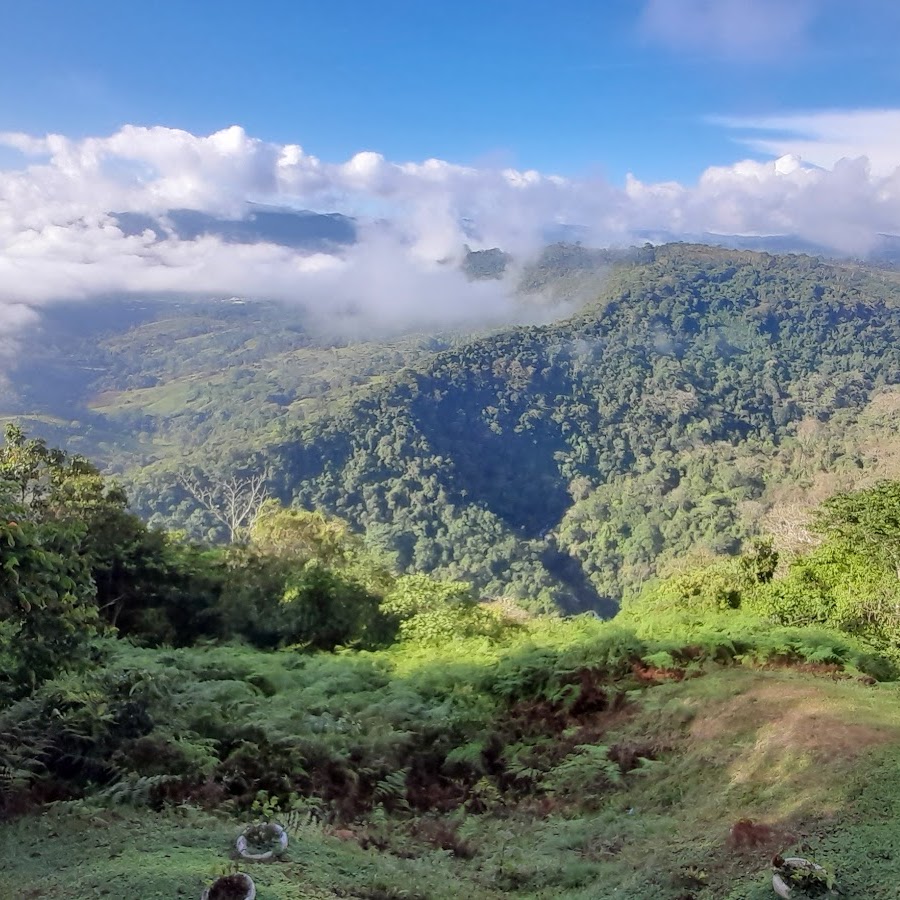 Places to Visit in Costa Rica cover photo collage