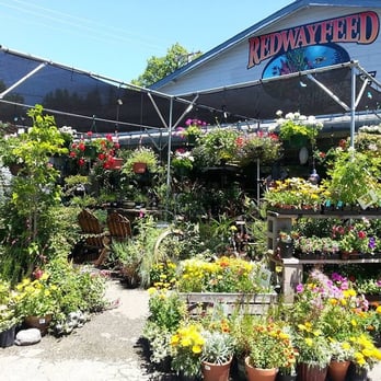 My Garden Recommendations cover photo collage