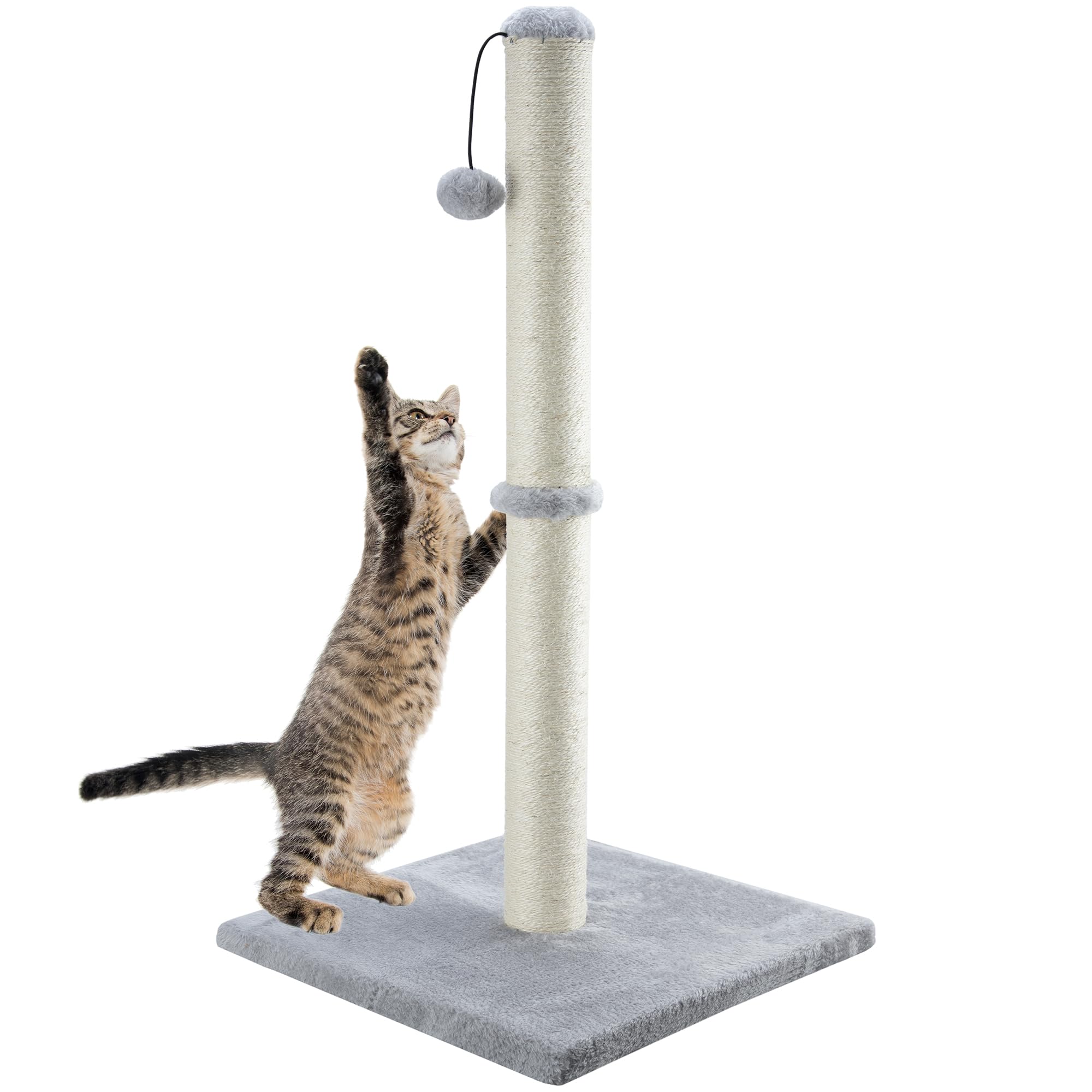 Kitty cat Essentials cover photo collage