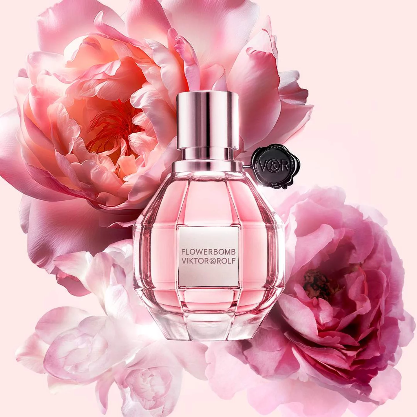 "wow she smells so good" - floral edition cover photo collage