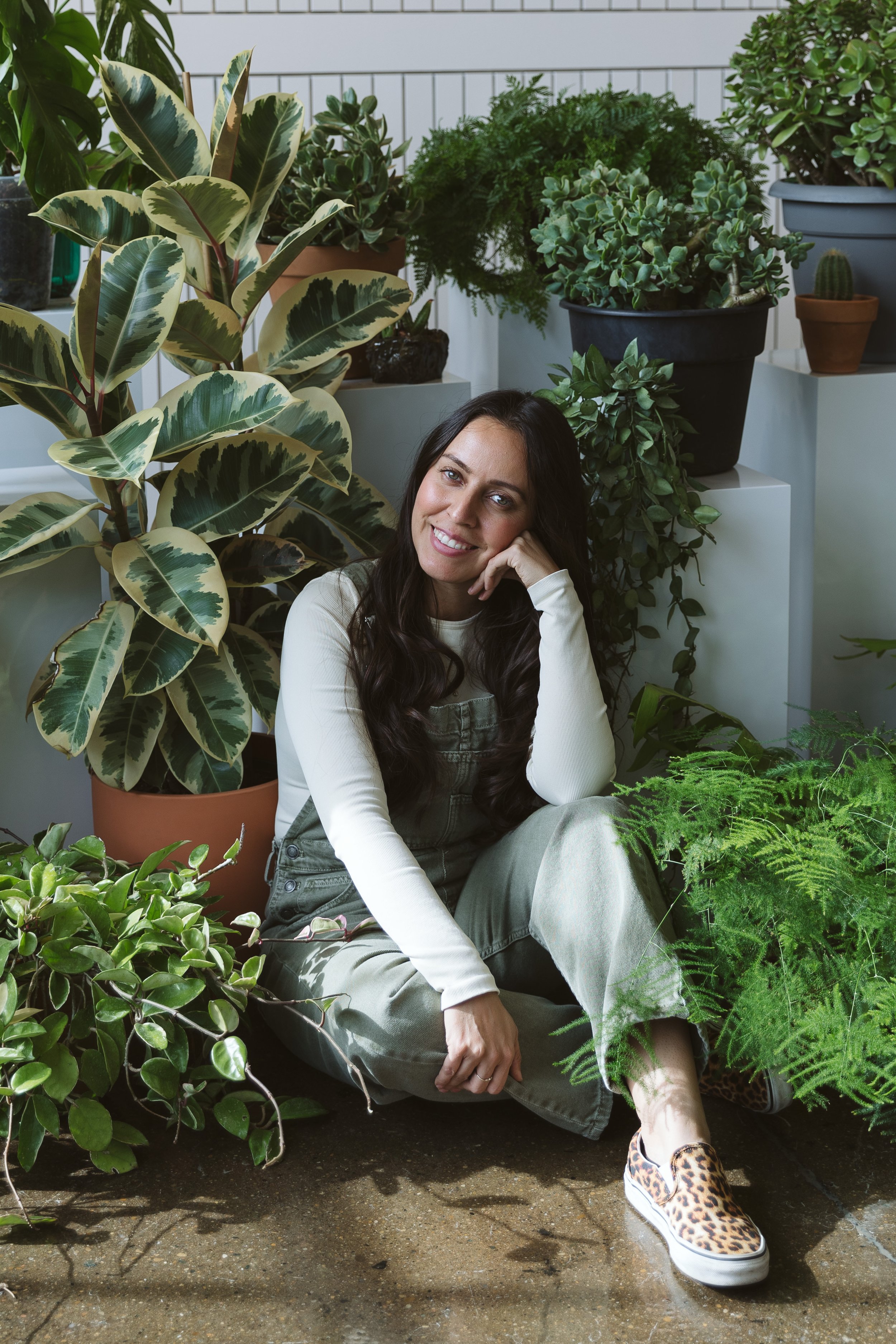 Hard to kill plants & Plant parent essentials cover photo collage