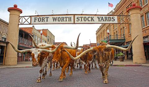 The Great American Road Trip: Texas Edition cover photo collage