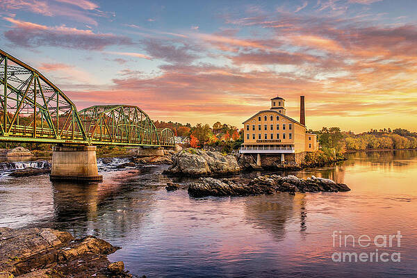 Maine: Color & Whimsy - My Artists of Choice! cover photo collage