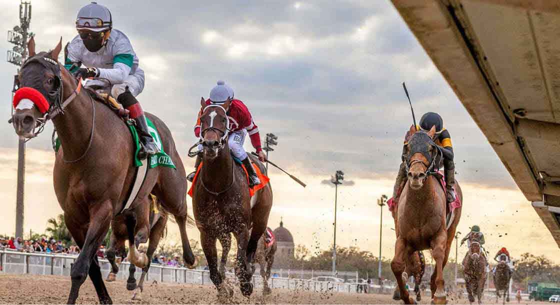 Must-Visit US Horse Racing Tracks: The Best Places to Experience the Races cover photo collage