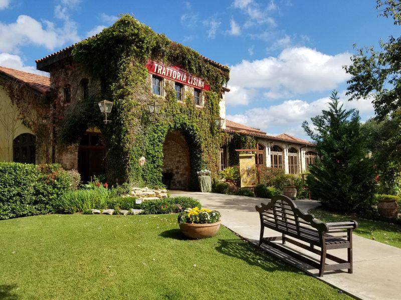 Top Things to Do: Central Texas & The Hill Country Edition cover photo collage