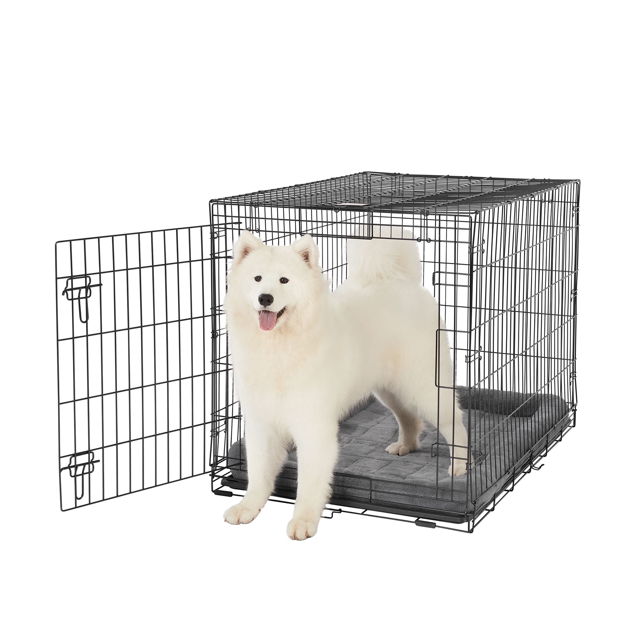 “I just adopted a big dog” starter pack cover photo collage
