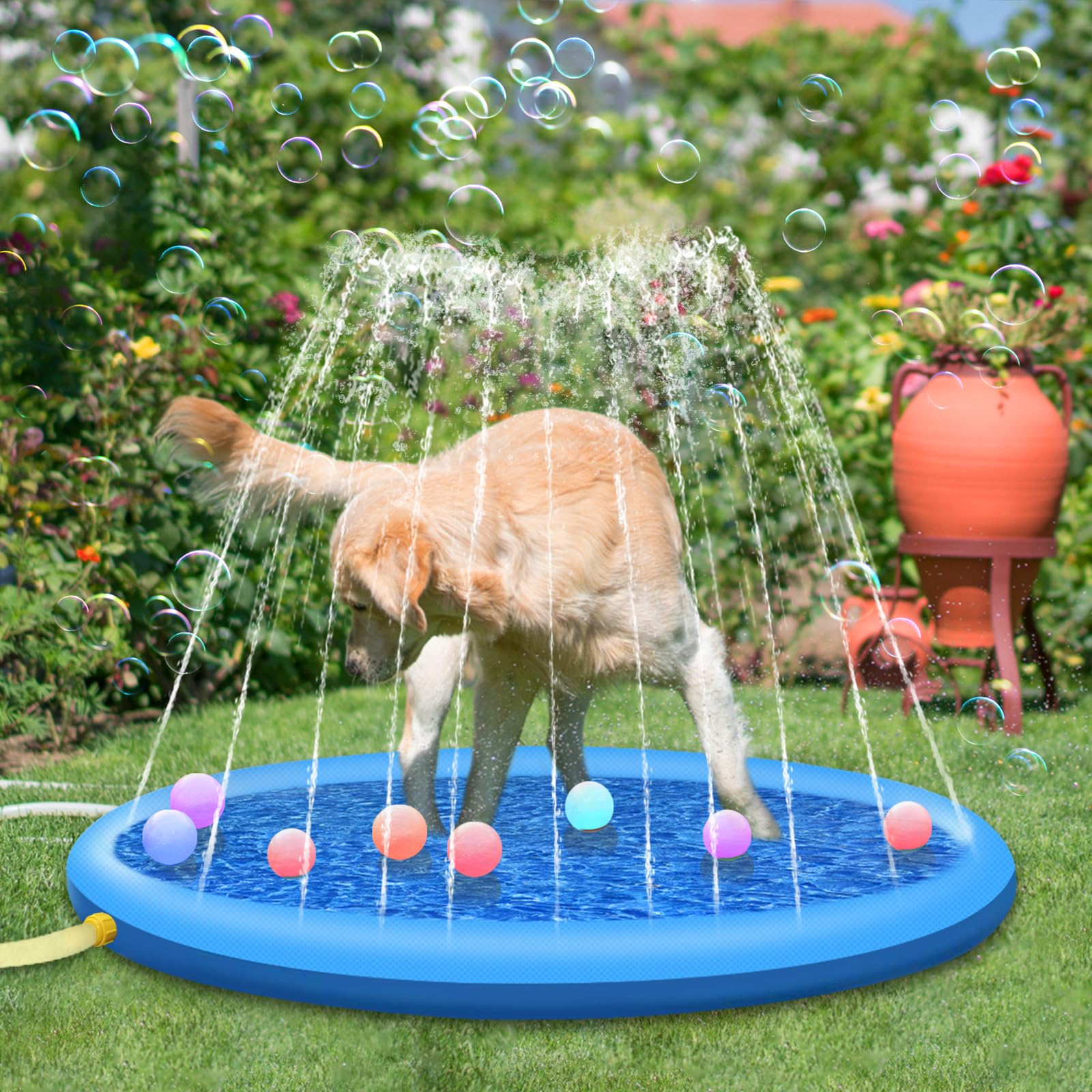 Spring/Summer Dog Essentials cover photo collage