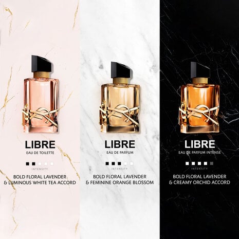 What's In My Perfume Collection cover photo collage