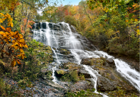 Things To Do in Dawsonville Georgia cover photo collage