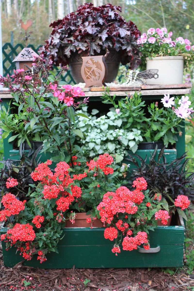 16 Creative DIY Ideas of Turning Old Dresser into Planter Box cover photo collage