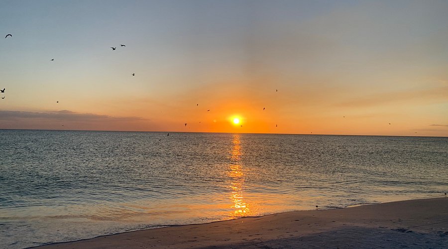 Girls Weekend Trip to Anna Maria Island, Florida cover photo collage