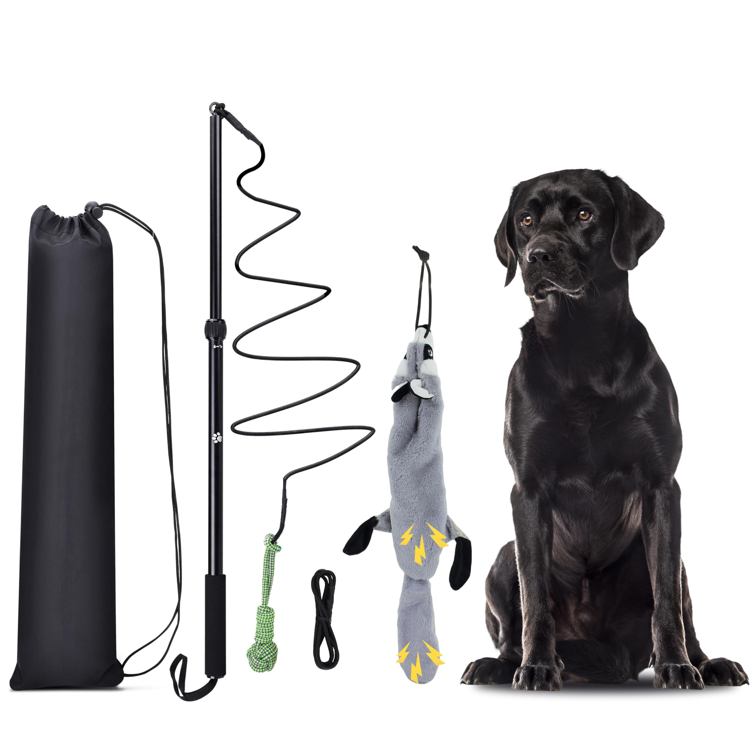 it’s raining cats & dogs - essential pet supplies cover photo collage