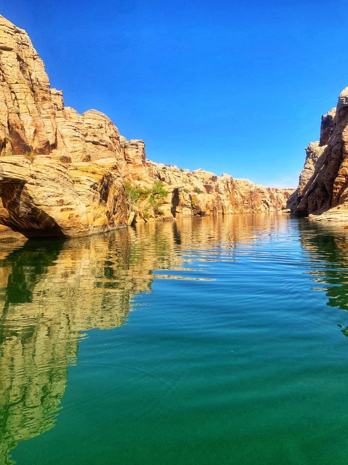 Top Favorite Things to do in Arizona cover photo collage