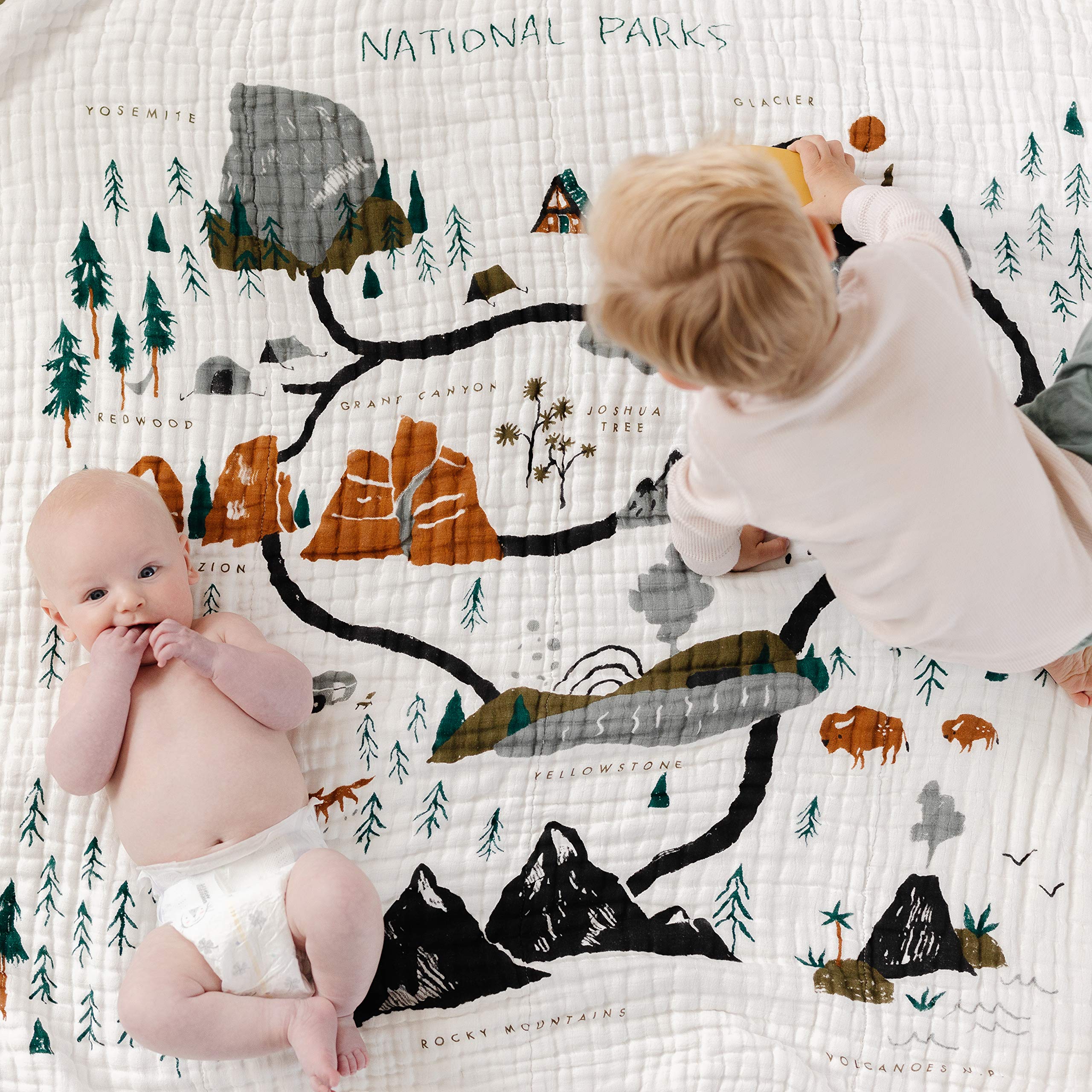 National Parks Nursery cover photo collage