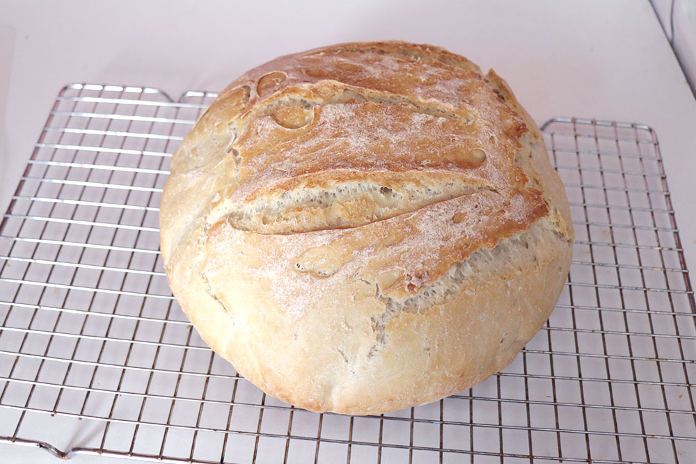 Sourdough basics cover photo collage