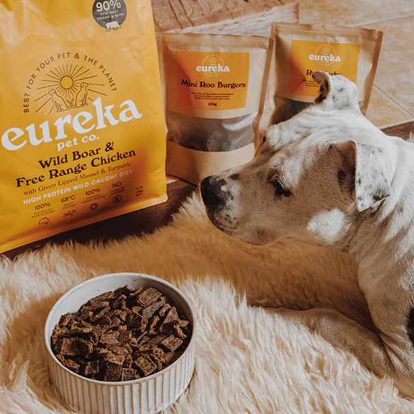 Favourite dog products! cover photo collage