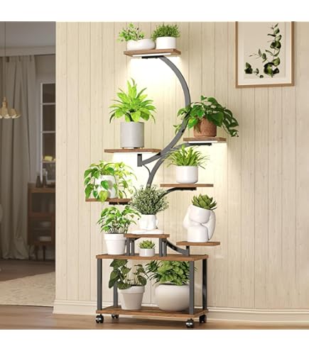 Beginner-Friendly Indoor Plants & Plant Care Favorites