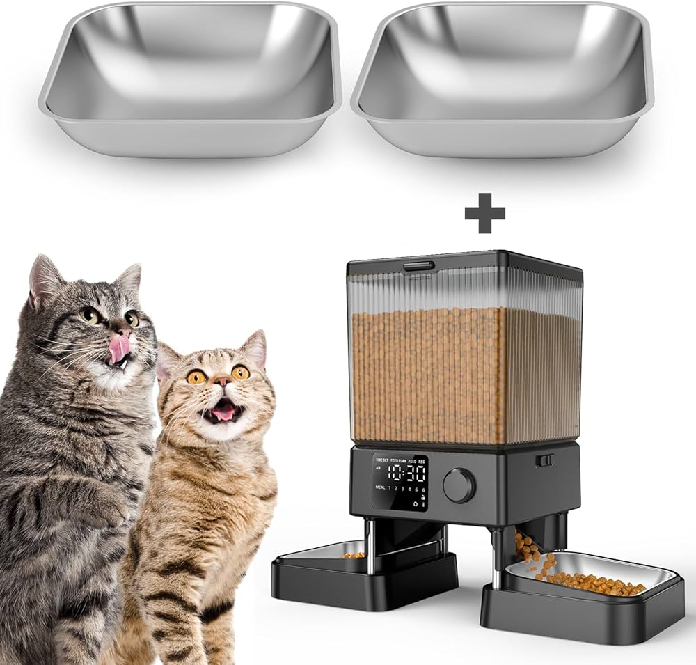 Purrfect Picks: Must-Have Items for a Happy Cat cover photo collage