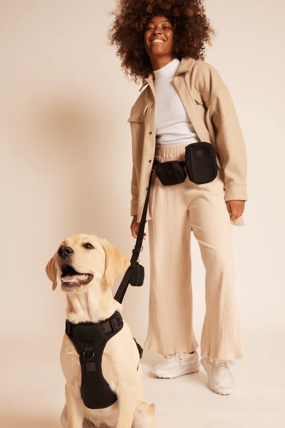 Everyday Luxury for Dogs cover photo collage