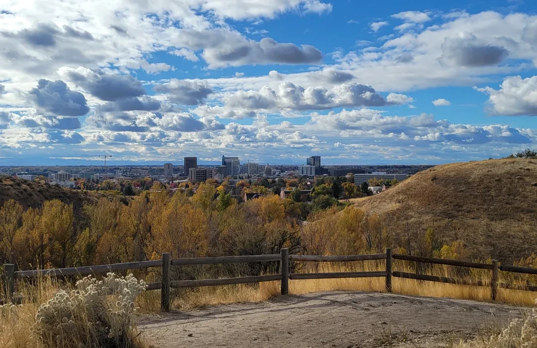 Boise MUSTS cover photo collage