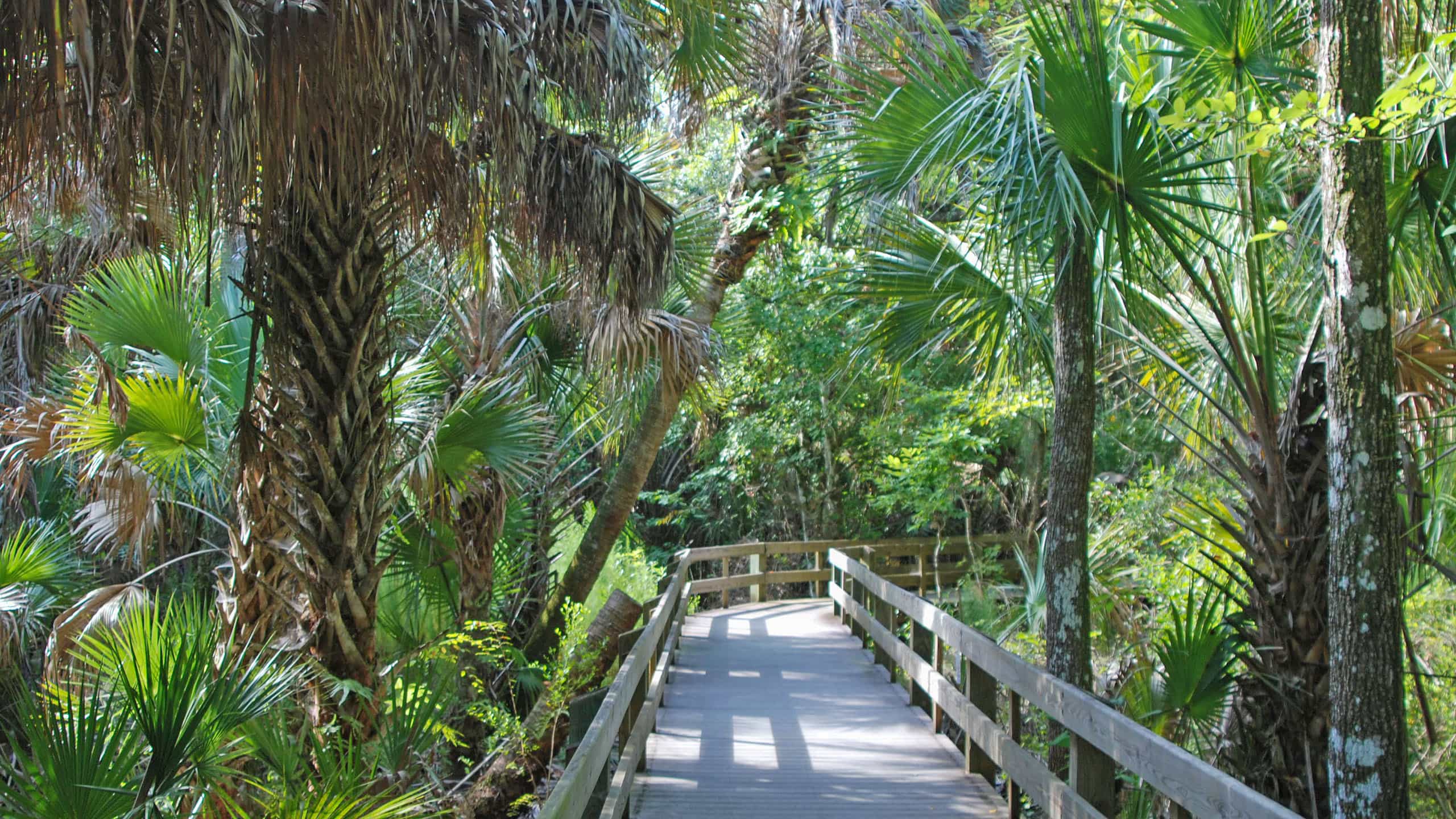 Things To Do in Melbourne, FL cover photo collage