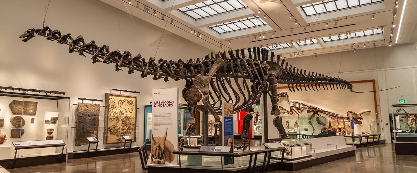 Things to Do In CT cover photo collage