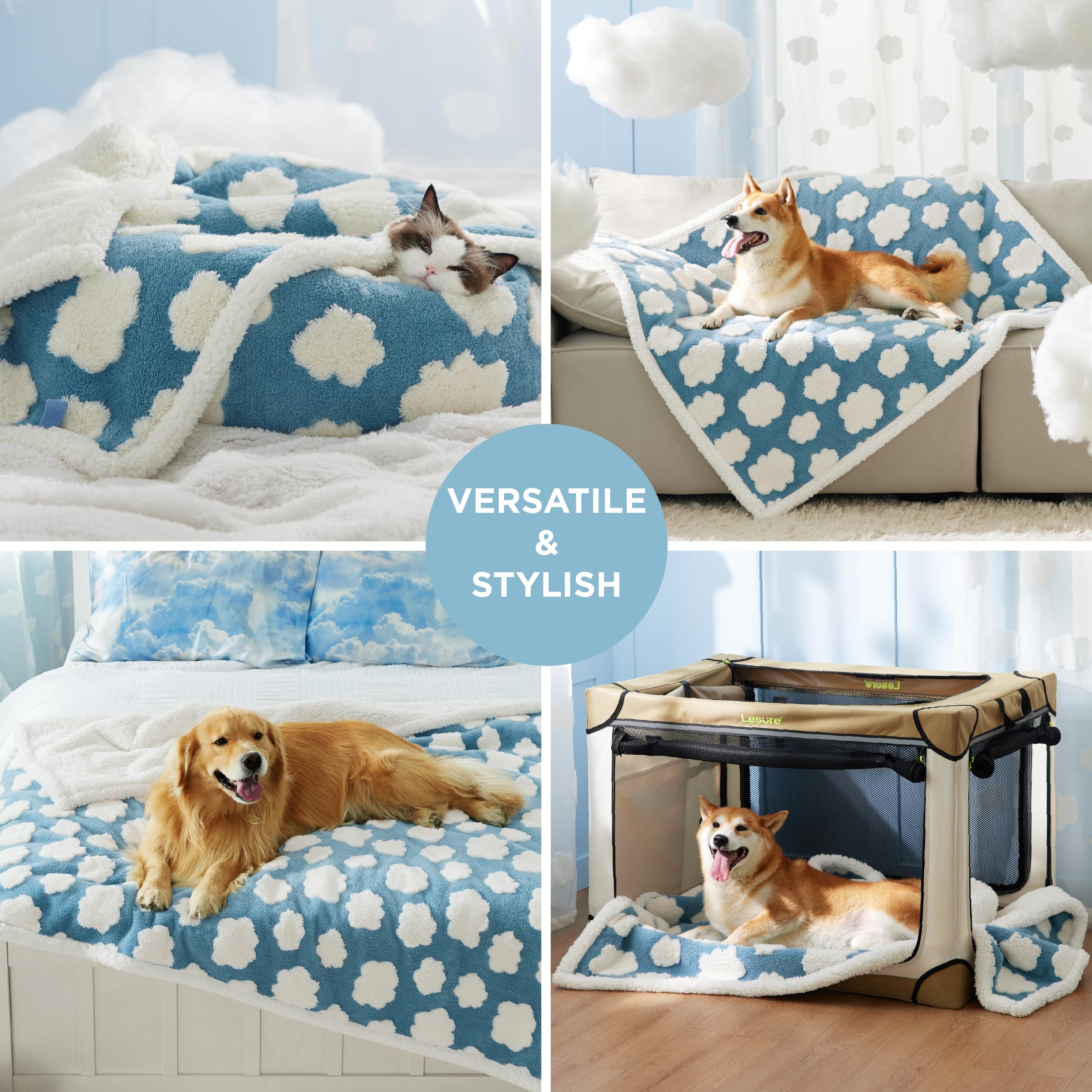 15 Things I Bought for My Dog-Friendly Vacation Rental 🐶 cover photo collage