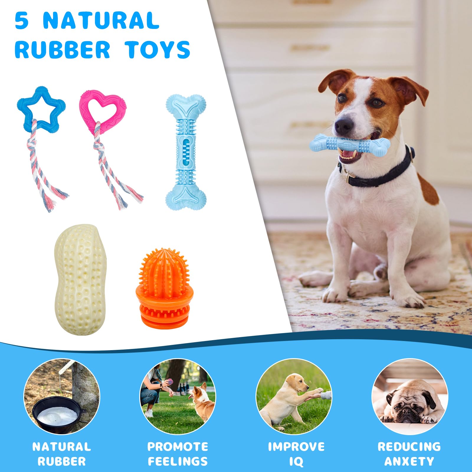 Puppy essentials cover photo collage