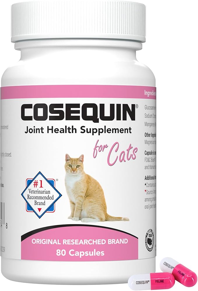 Healthy Things for your Senior Cat cover photo collage