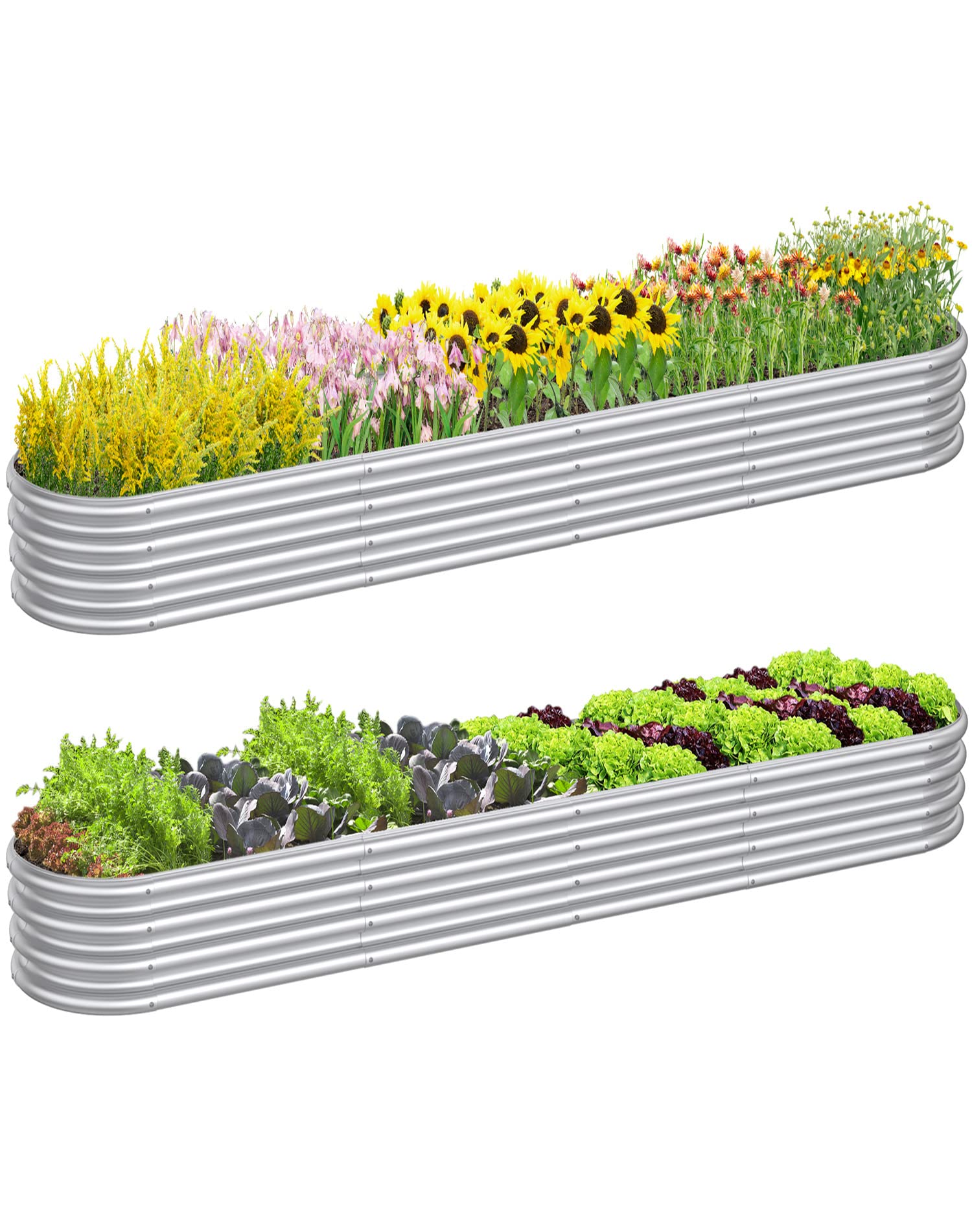 Seeds of Success: Must-Have Supplies for Starting a Backyard Garden cover photo collage