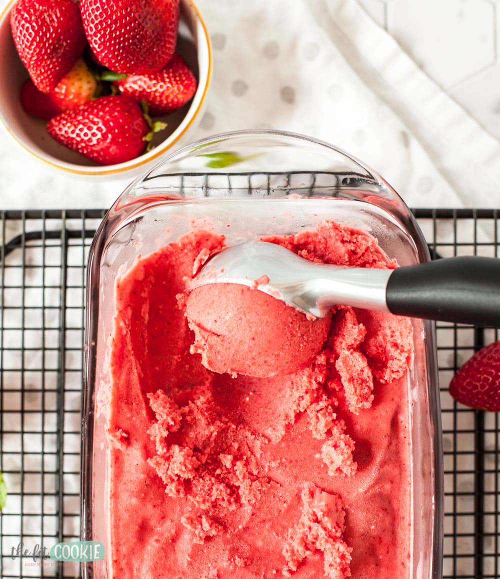 Incredible Dairy Free Frozen Dessert Recipes cover photo collage
