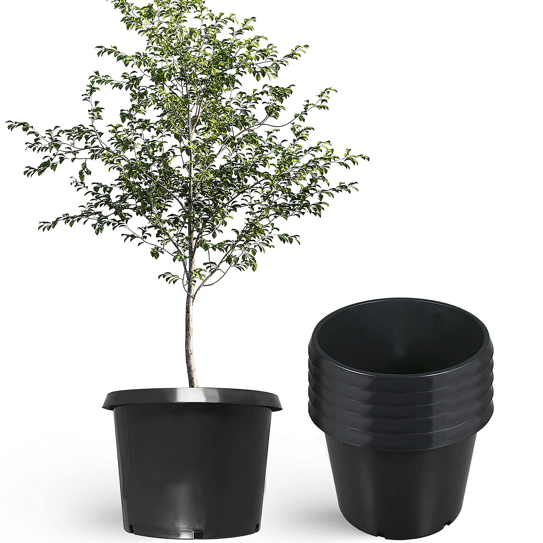 Let's Plant Fruit Trees cover photo collage
