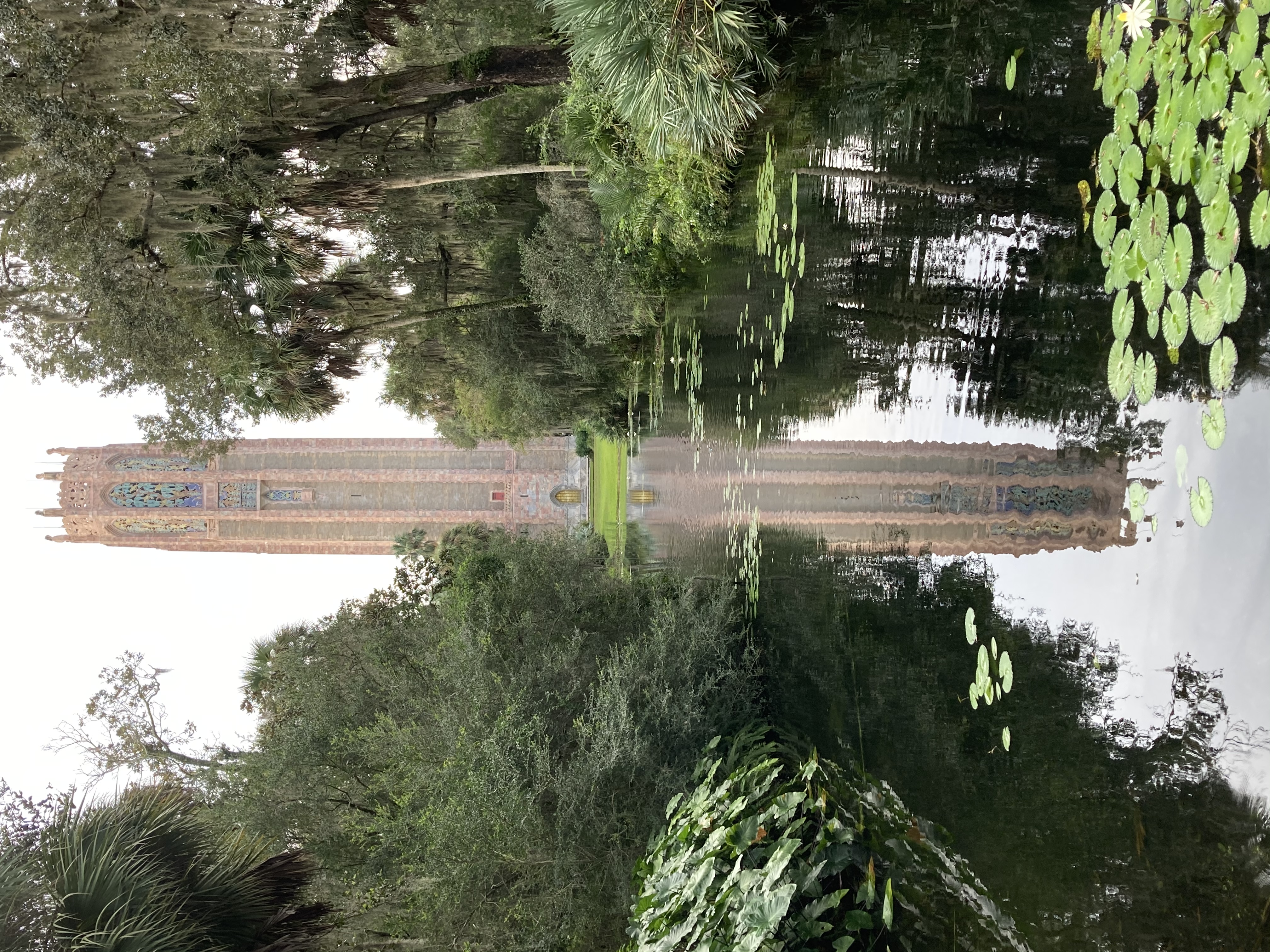 Places to go visit in Florida that are not Disney - From a local! cover photo collage