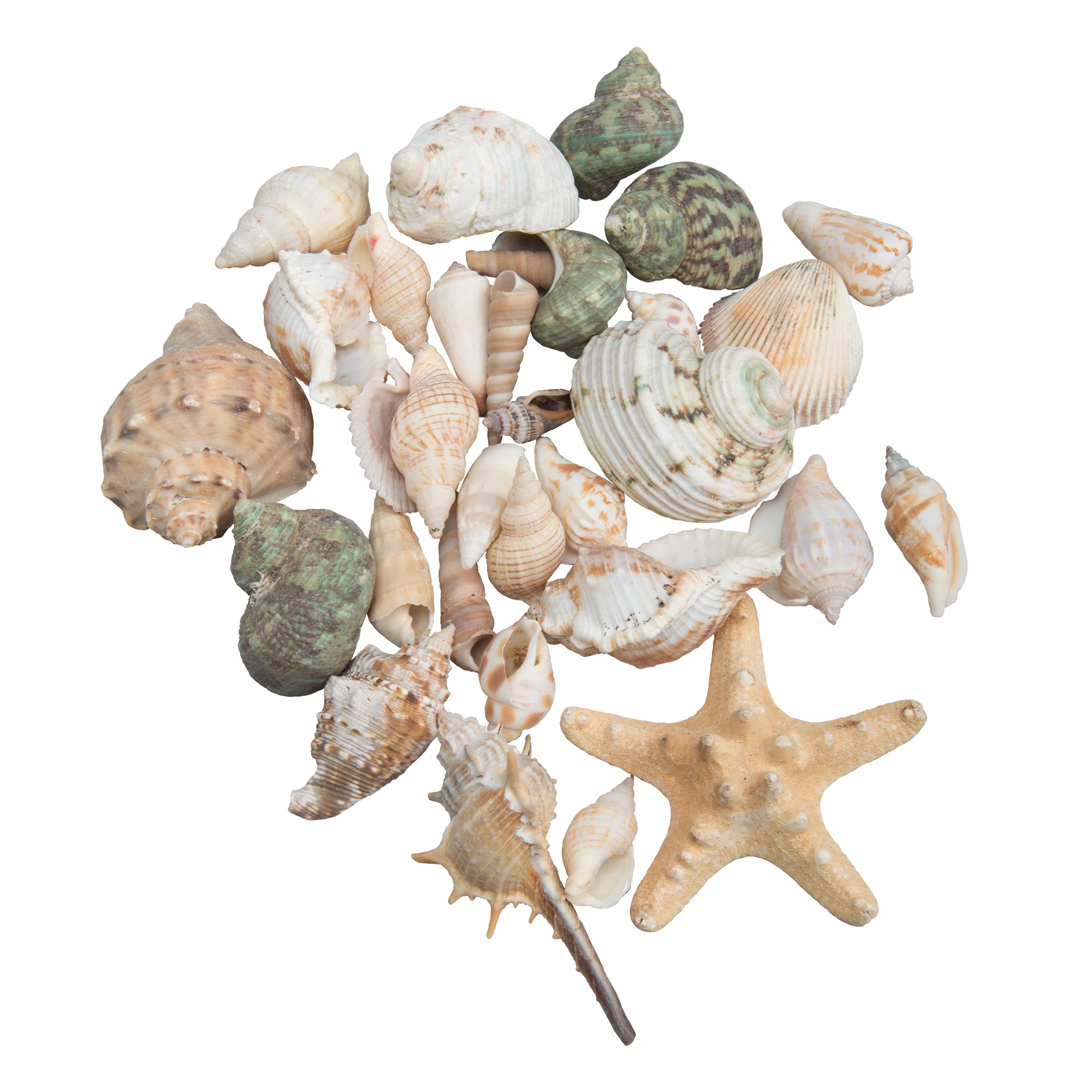 Beach House Decor cover photo collage