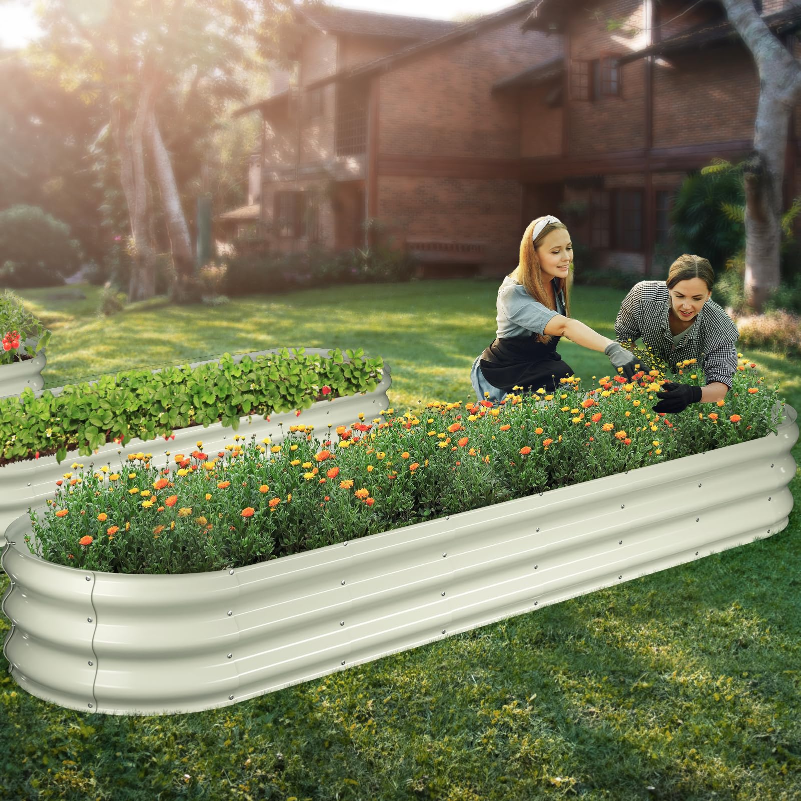 Best Gardening Supplies For A Beginner cover photo collage