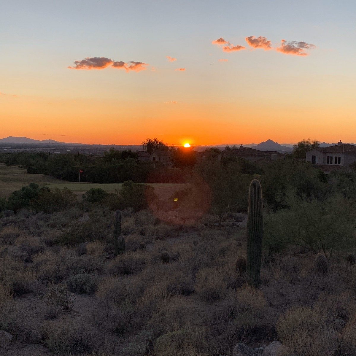 My Personal Phoenix (Arizona) Tourist Guide cover photo collage
