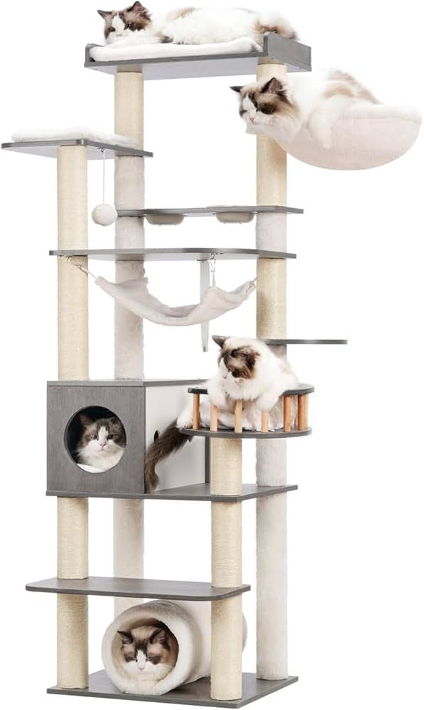 Cat Owner Must Haves cover photo collage
