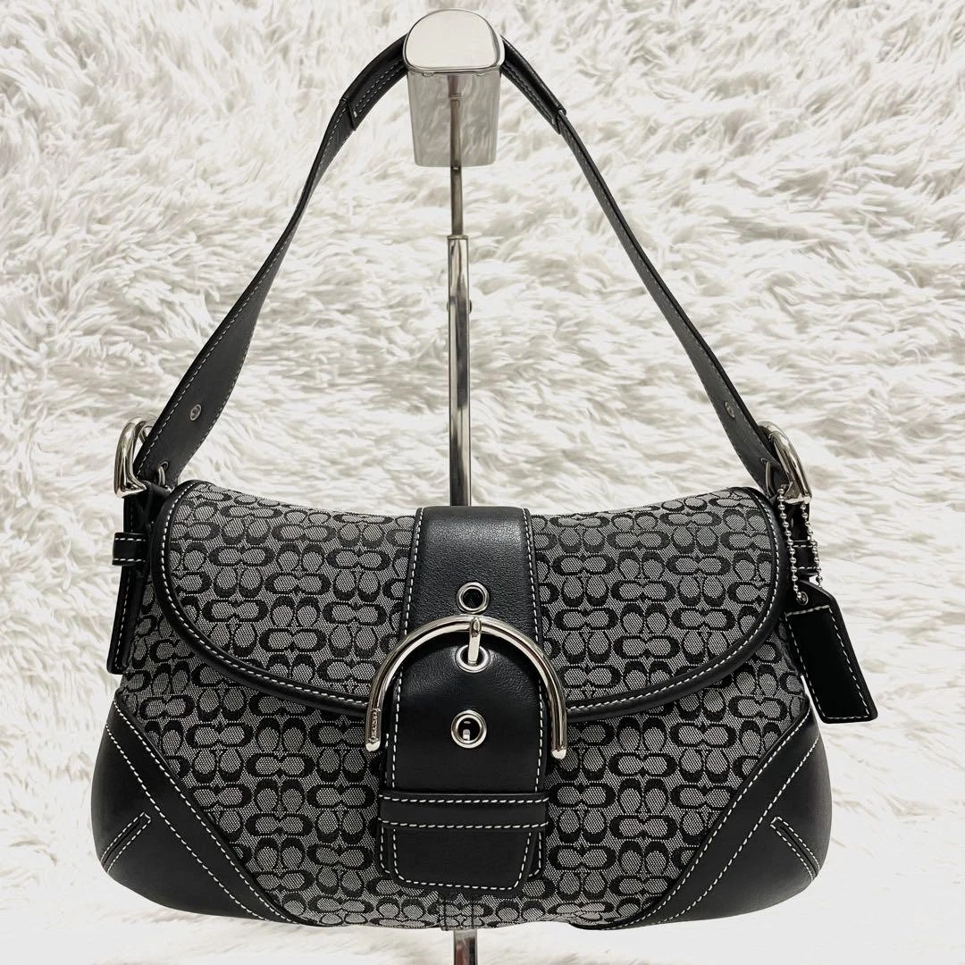 My Daily Bag Essentials cover photo collage