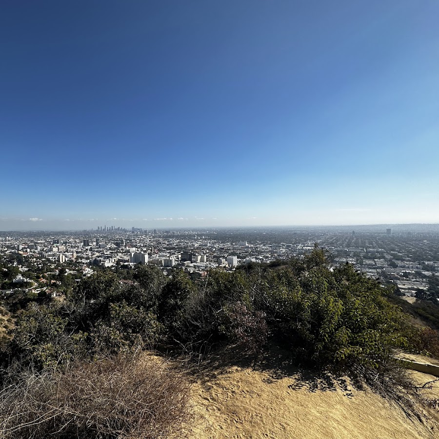 Workout in LA with a view😎 cover photo collage
